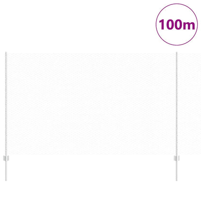 Recinzione con Posto Argento 1,4 x 100 m Acciaio
