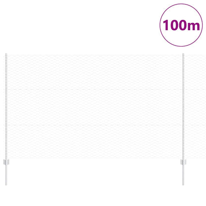 Recinzione con Posto Argento 1,4 x 100 m Acciaio
