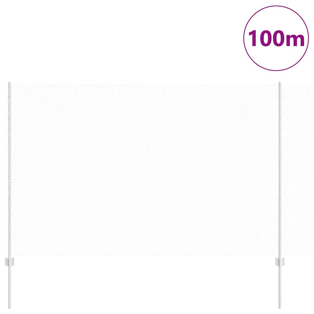 Recinzione con Posto Argento 1,6 x 100 m Acciaio