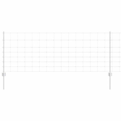 Recinzione con Posto Argento 0,8 x 25 m Acciaio
