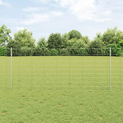 Recinzione con Posto Argento 1 x 25 m Acciaio