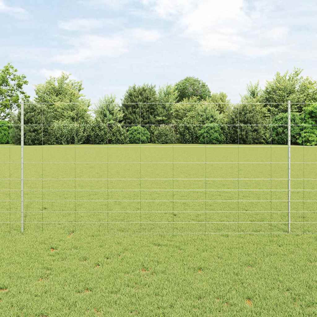 Recinzione con Posto Argento 1,2 x 25 m Acciaio