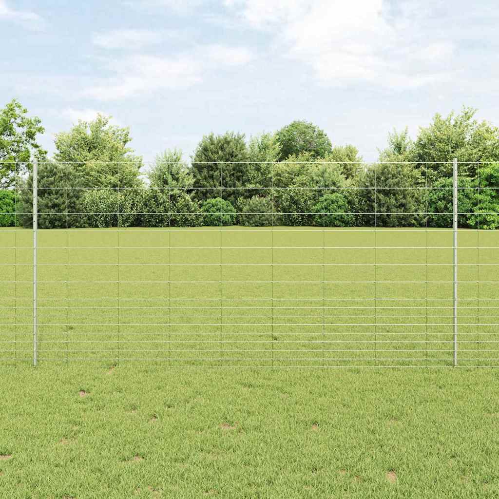 Recinzione con Posto Argento 1,2 x 25 m Acciaio