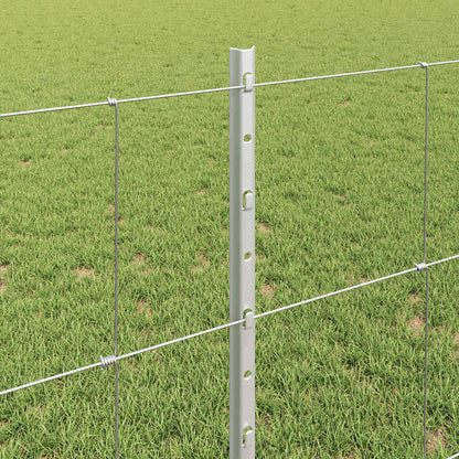 Recinzione con Posto Argento 0,8 x 50 m Acciaio