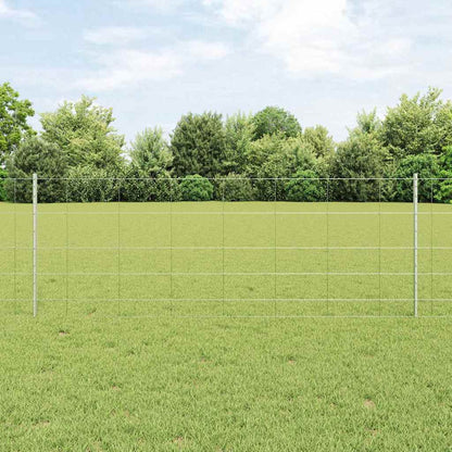 Recinzione con Posto Argento 0,8 x 50 m Acciaio