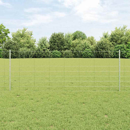 Recinzione con Posto Argento 0,8 x 50 m Acciaio
