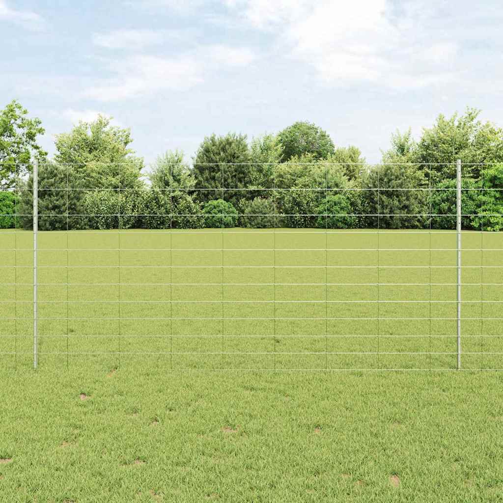 Recinzione con Posto Argento 1,2 x 50 m Acciaio