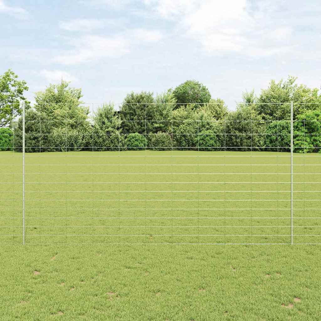 Recinzione con Posto Argento 1,6 x 50 m Acciaio
