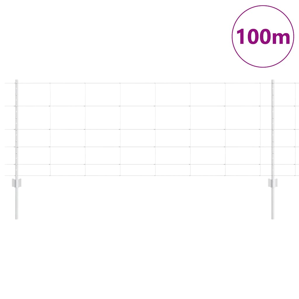 Recinzione con Posto Argento 0,8 x 100 m Acciaio