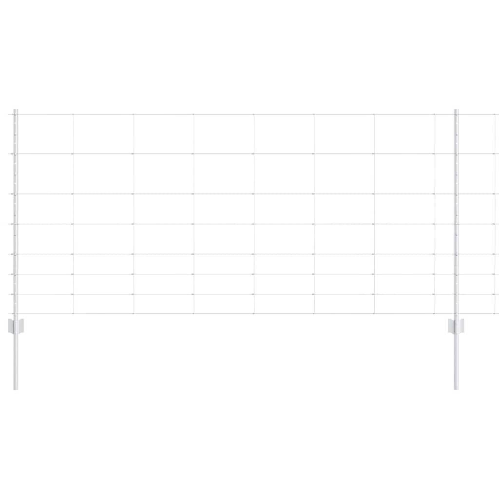 Recinzione con Posto Argento 1 x 100 m