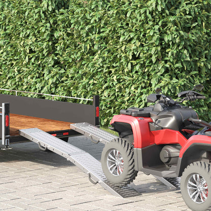 Rampe Pieghevoli 200kg per rampa 2 pcs Argento Acciaio zincato