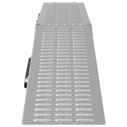 Rampe Pieghevoli 200kg per rampa 2 pcs Argento Acciaio zincato