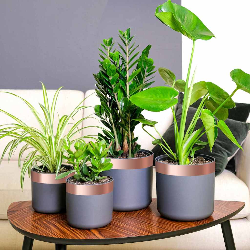 Nastro di rame 6 pcs Rame 2000 x 5 cm Rame