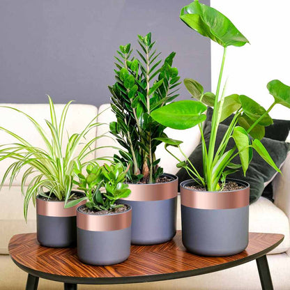 Nastro di rame 6 pcs Rame 2000 x 7 cm Rame