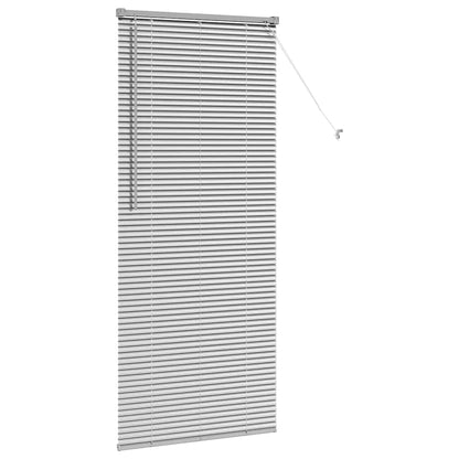 Tendaggi a veneziana Argento 175 x 75 cm Alluminio