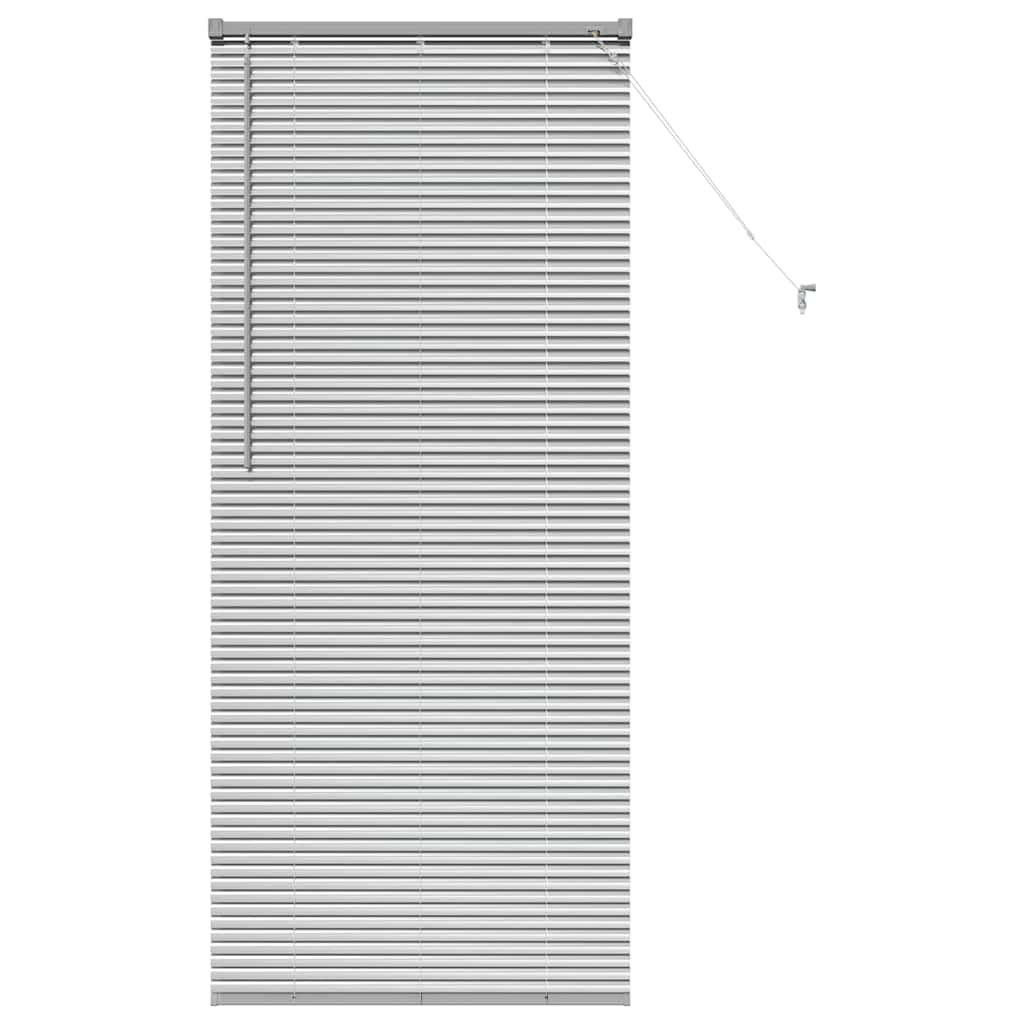 Tendaggi a veneziana Argento 175 x 75 cm Alluminio
