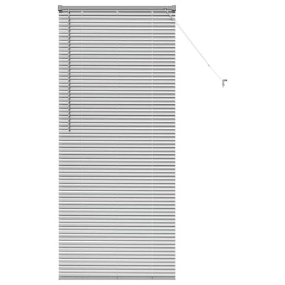 Tendaggi a veneziana Argento 175 x 75 cm Alluminio