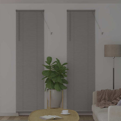 Tendaggi a veneziana Argento 220 x 65 cm Alluminio
