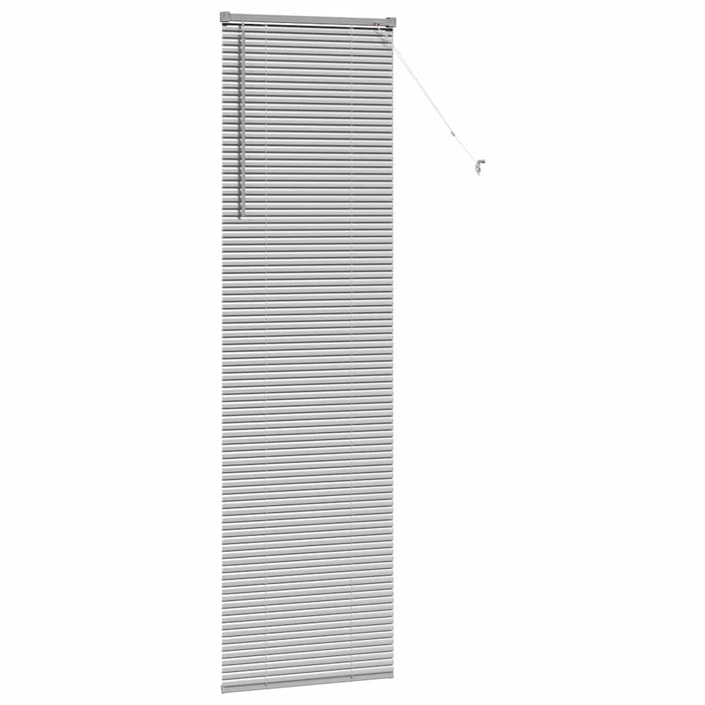 Tendaggi a veneziana Argento 220 x 65 cm Alluminio