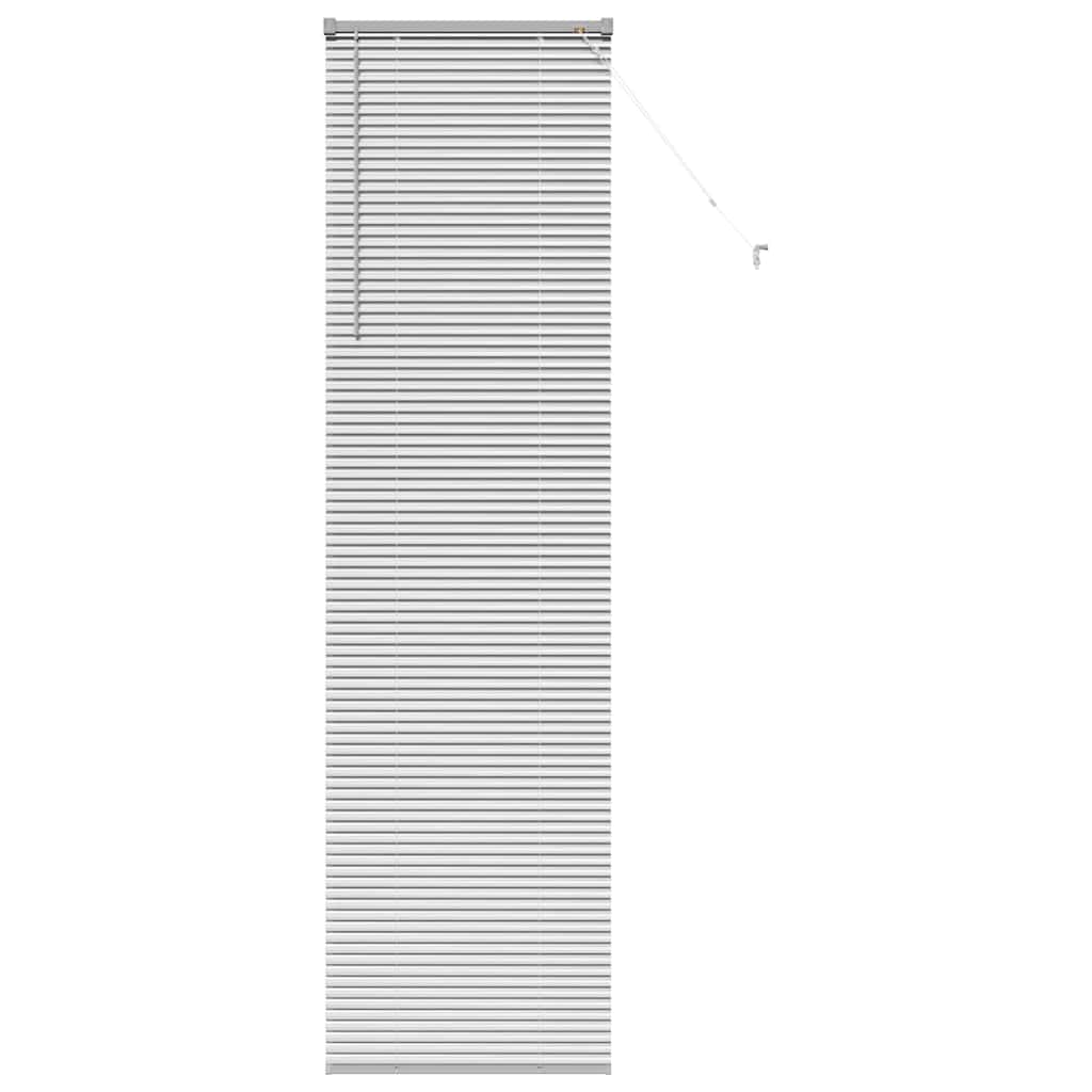Tendaggi a veneziana Argento 220 x 65 cm Alluminio