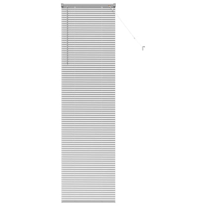 Tendaggi a veneziana Argento 220 x 65 cm Alluminio