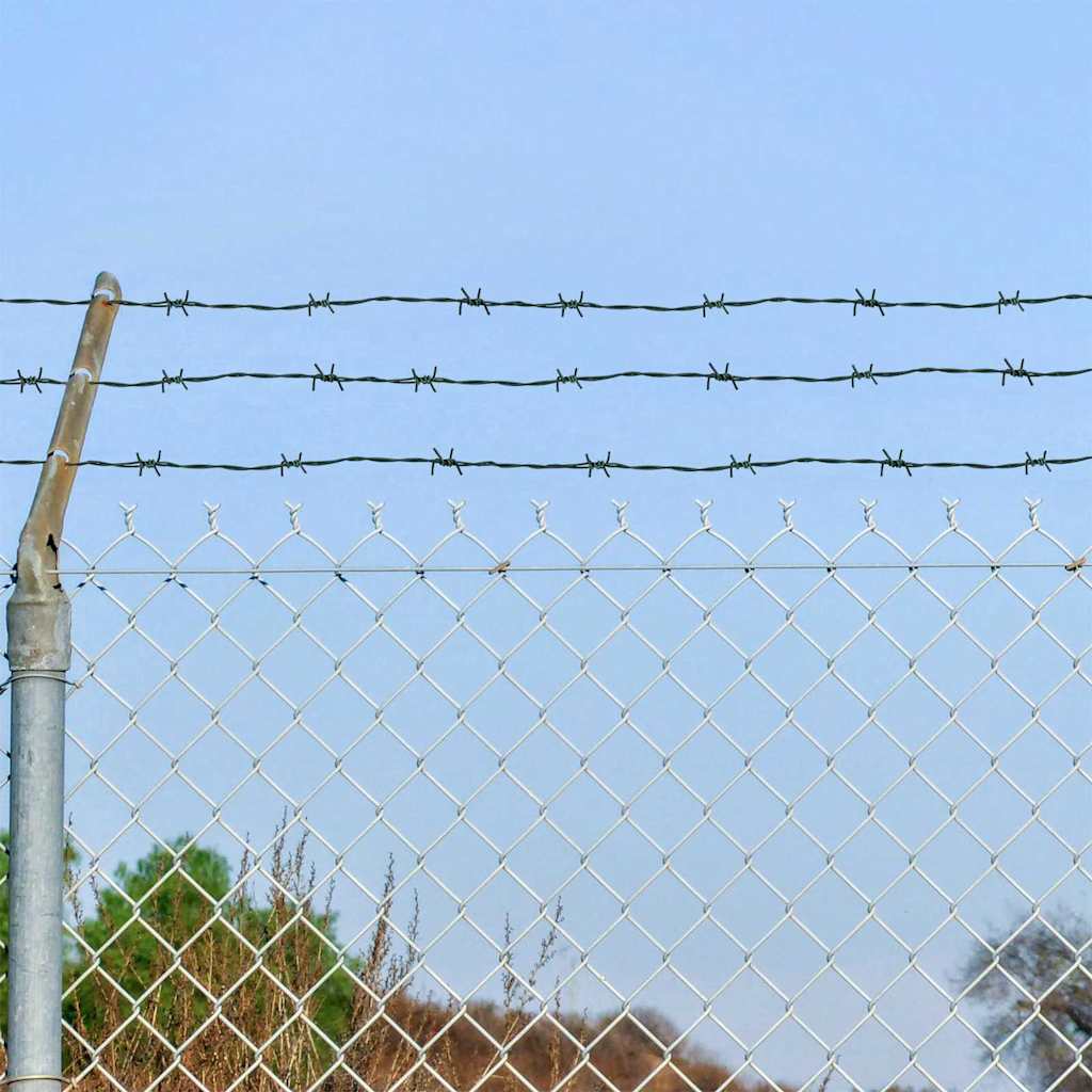 Fil di Ferro Spinato Verde 100 m Acciaio Zincato a Caldo