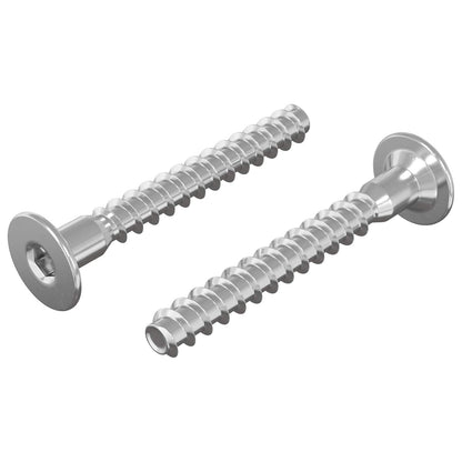 Viti confermat 2 pcs Argento Ã˜5 x 40 mm Metallo