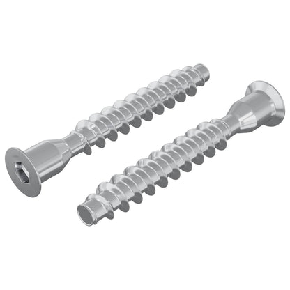 Viti confermat 2 pcs Argento Ã˜7 x 50 mm Metallo
