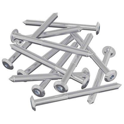 Viti per mobili 12 pcs Argento M6 x 85 mm Acciaio
