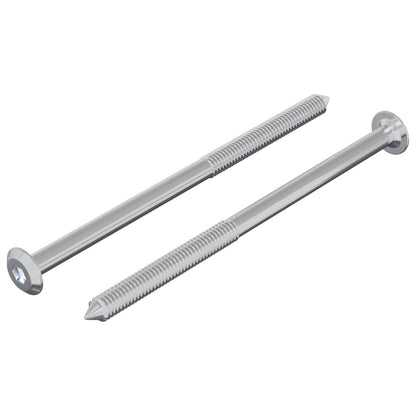 Vite 2 pcs Argento M6 x 100 mm Acciaio