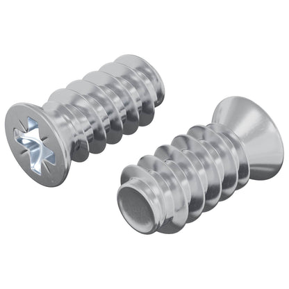 Vite 2 pcs Argento M6 x 12 mm Ferro
