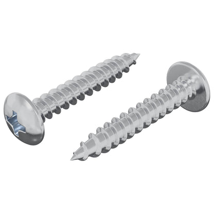 Chiodo autofilettante 2 pcs Zincato 4 x 25 mm Acciaio