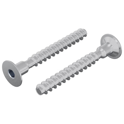 Vite 2 pcs Zincato 5 x 40 mm Ferro