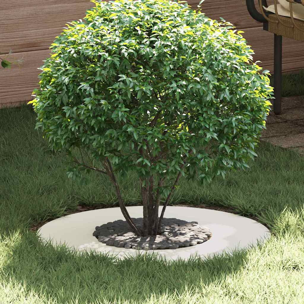 adatto per Anelli d'Albero Piatto 5 pcs Bianco Ã˜30 / 60 cm