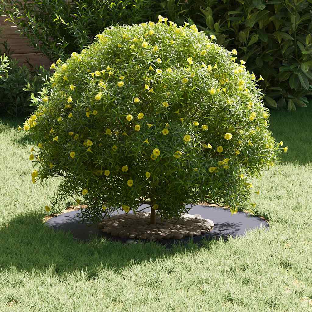 adatto per Anello d'Albero Piatto Antracite ÃƒËœ30 / 60 cm Acciaio