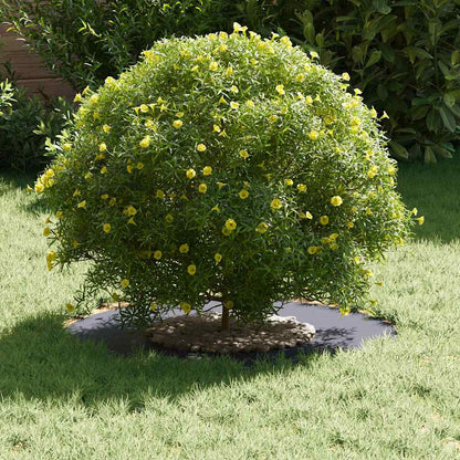 adatto per Anelli d'Albero Piatto 5 pcs Antracite ÃƒËœ30 / 60 cm