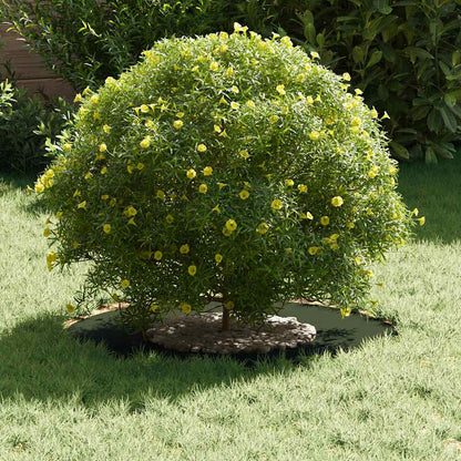 adatto per Anelli d'Albero Piatto 5 pcs Oliver verde Ã˜30 / 60 cm