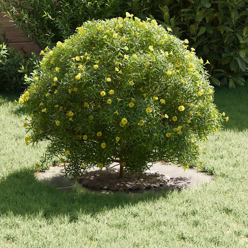 adatto per Anello d'Albero Piatto Argento Ã˜30 / 60 cm