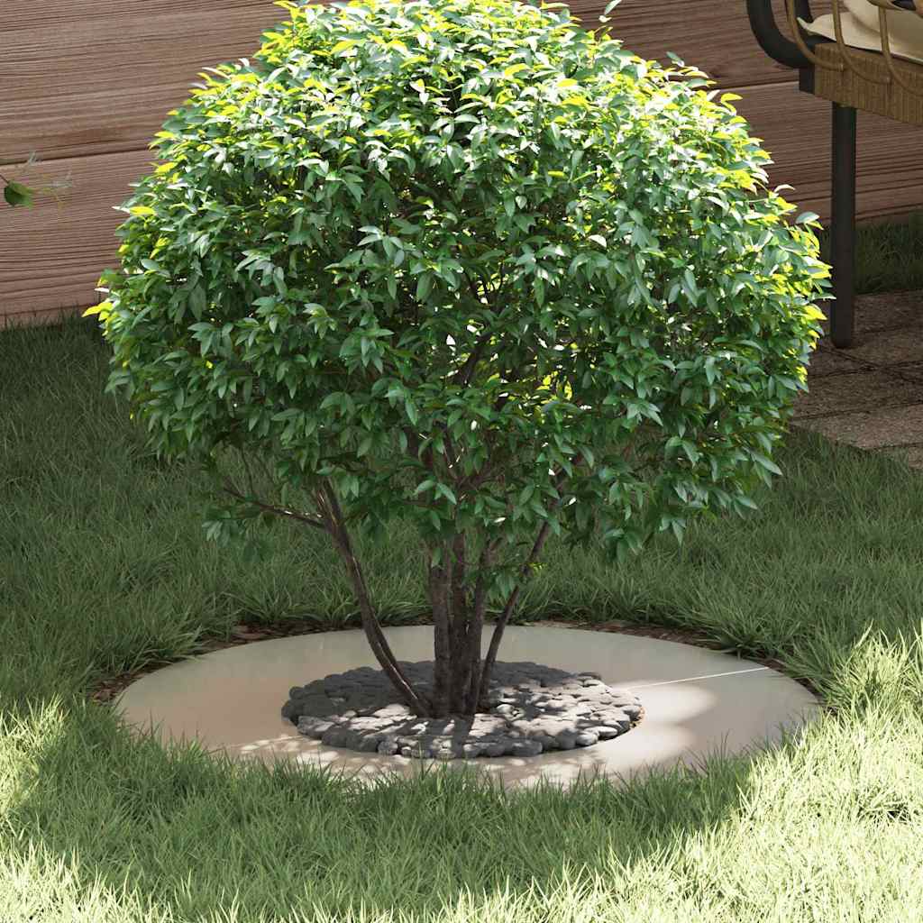 adatto per Anelli d'Albero Piatto 5 pcs Argento Ã˜30 / 60 cm