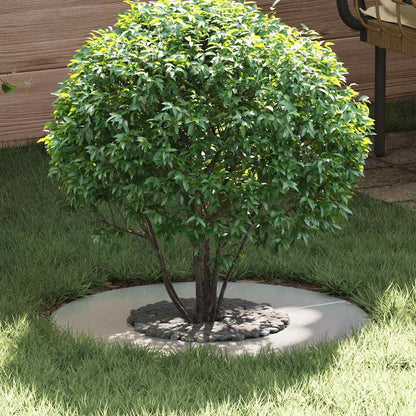 adatto per Anello d'Albero Piatto Argento Ã˜30 / 60 cm
