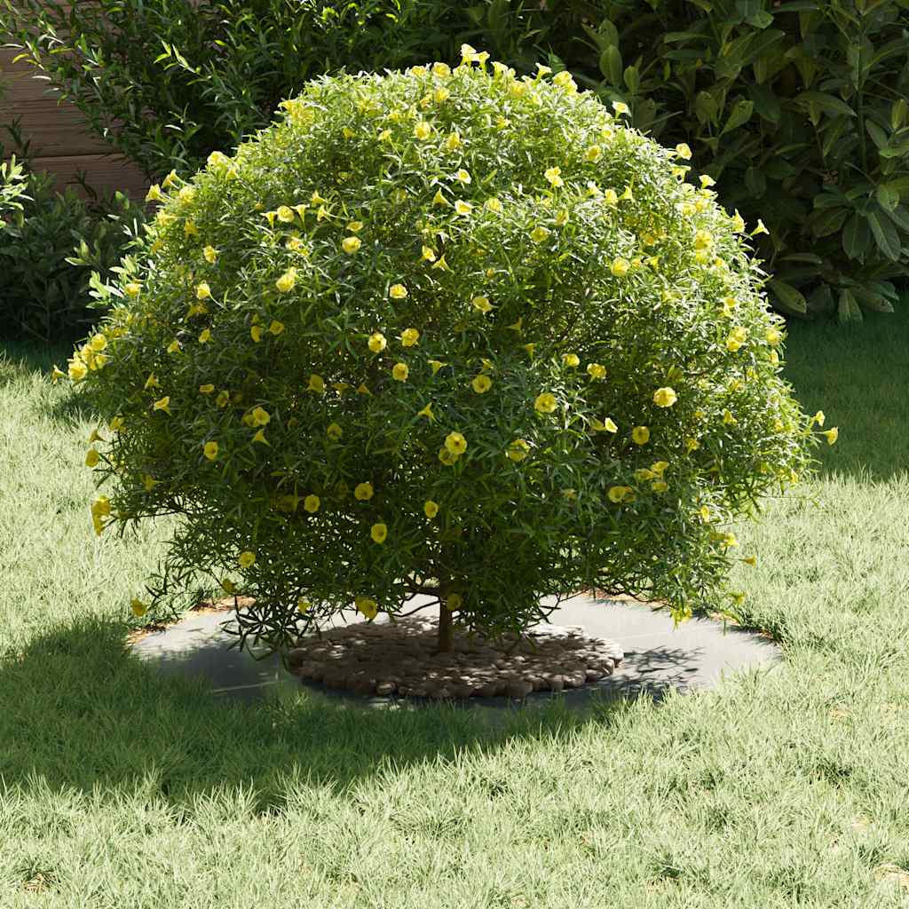 adatto per Anello d'Albero Piatto Argento ÃƒËœ30 / 60 cm