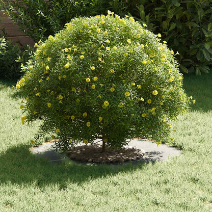adatto per Anello d'Albero Piatto Argento ÃƒËœ30 / 60 cm