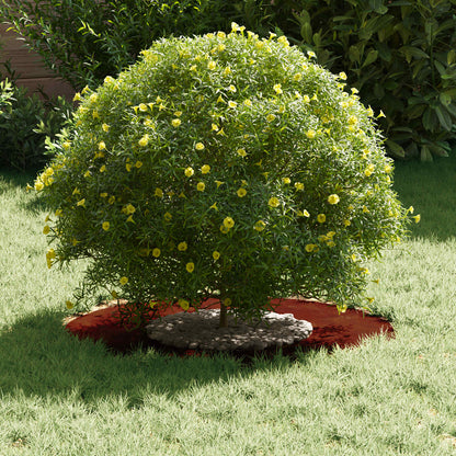 adatto per Anelli d'Albero Piatto 5 pcs Marrone ÃƒËœ30 / 60 cm