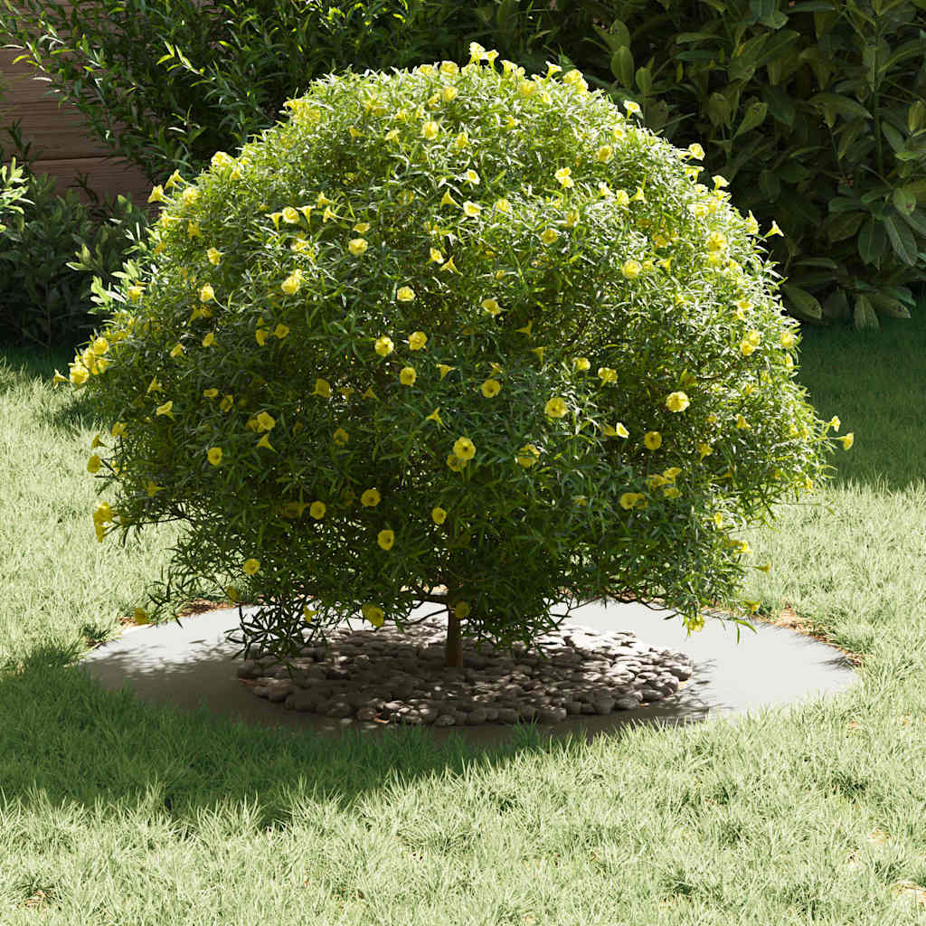 adatto per Anello d'Albero Piatto Bianco Ã˜40 / 70 cm Acciaio