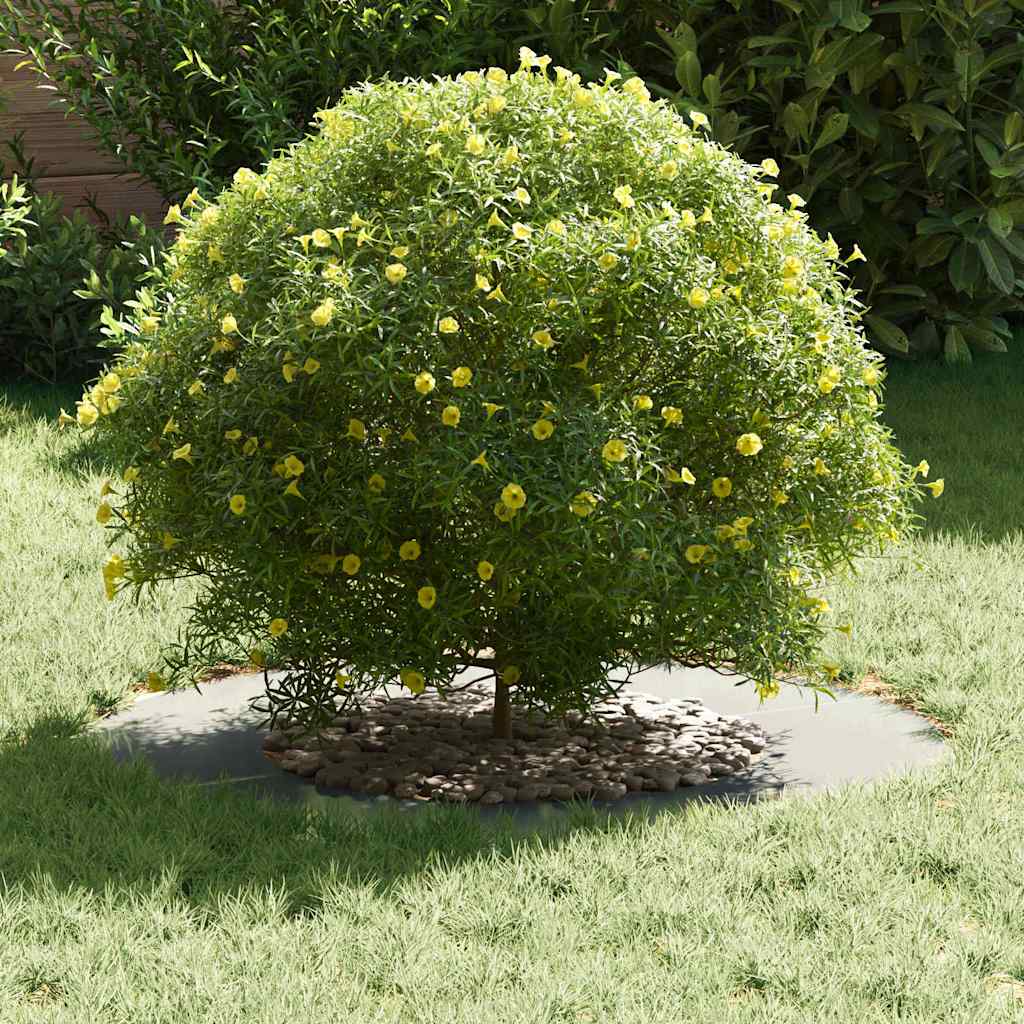 adatto per Anello d'Albero Piatto Argento Ã˜40 / 70 cm