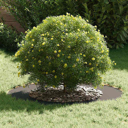 adatto per Anelli d'Albero Piatto 5 pcs Nero Ã˜50 / 80 cm Acciaio