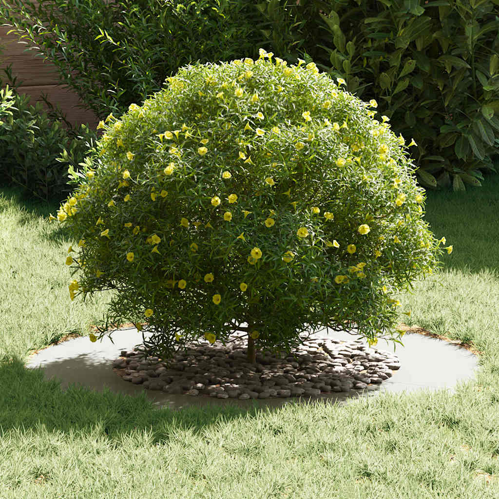 adatto per Anelli d'Albero Piatto 5 pcs Bianco Ã˜50 / 80 cm