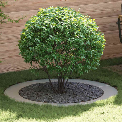 adatto per Anelli d'Albero Piatto 5 pcs Argento Ã˜90 / 120 cm
