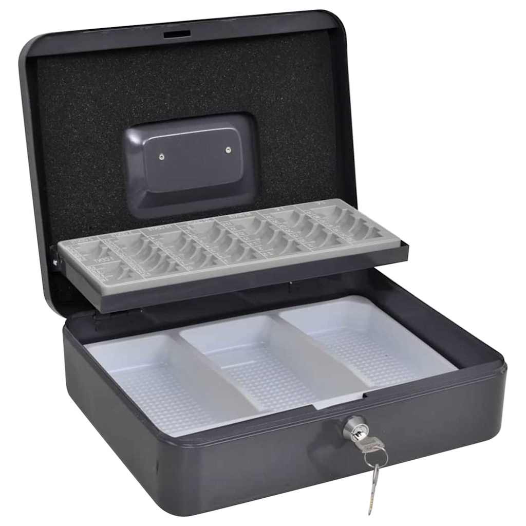 Scatola per Contanti Grigio scuro 30 x 24 x 9 cm Acciaio