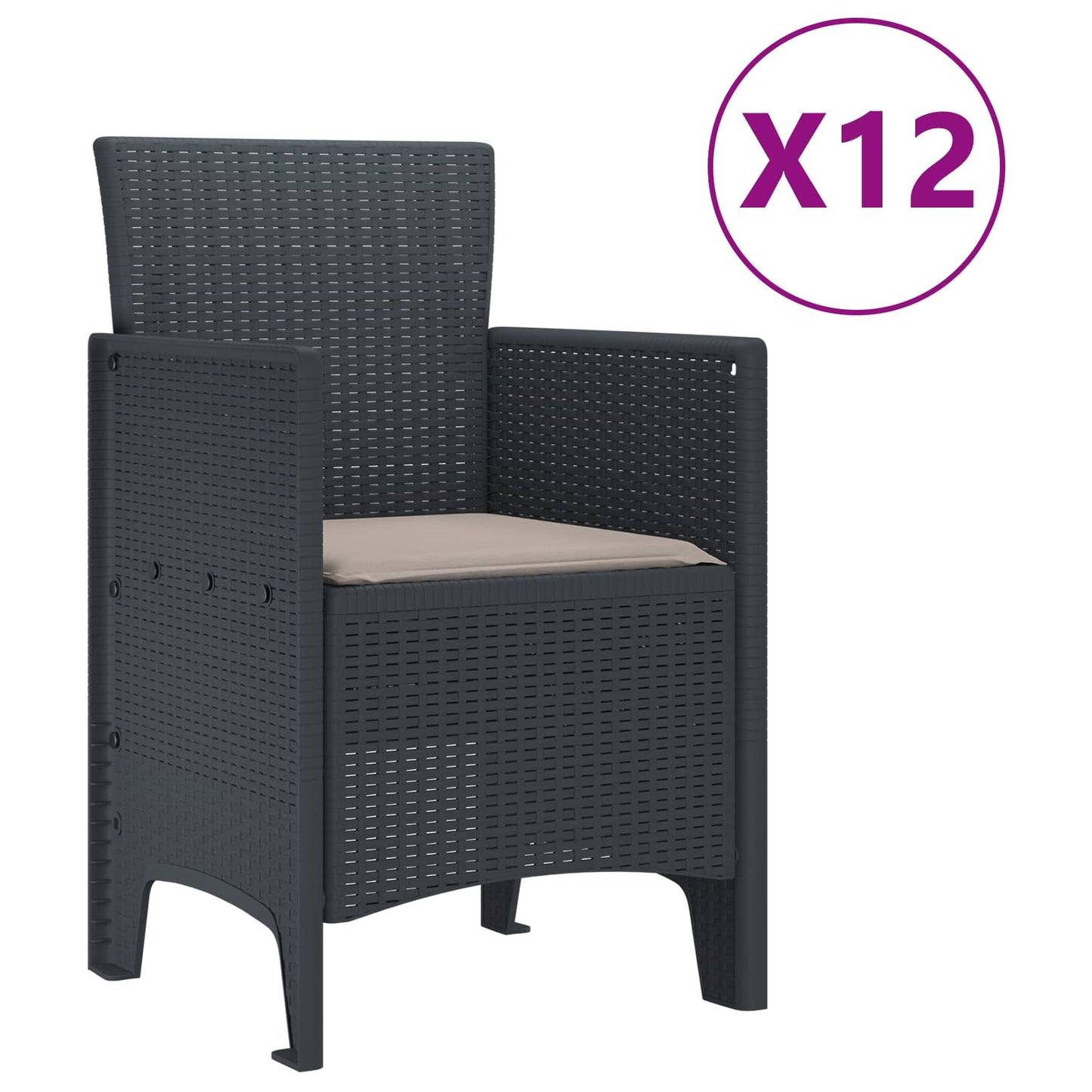 Set da Pranzo per Giardino 13 pcs Antracite Rattan Polt